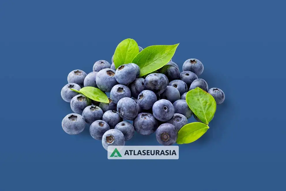 اسانس خوراکی - اسانس بلوبری