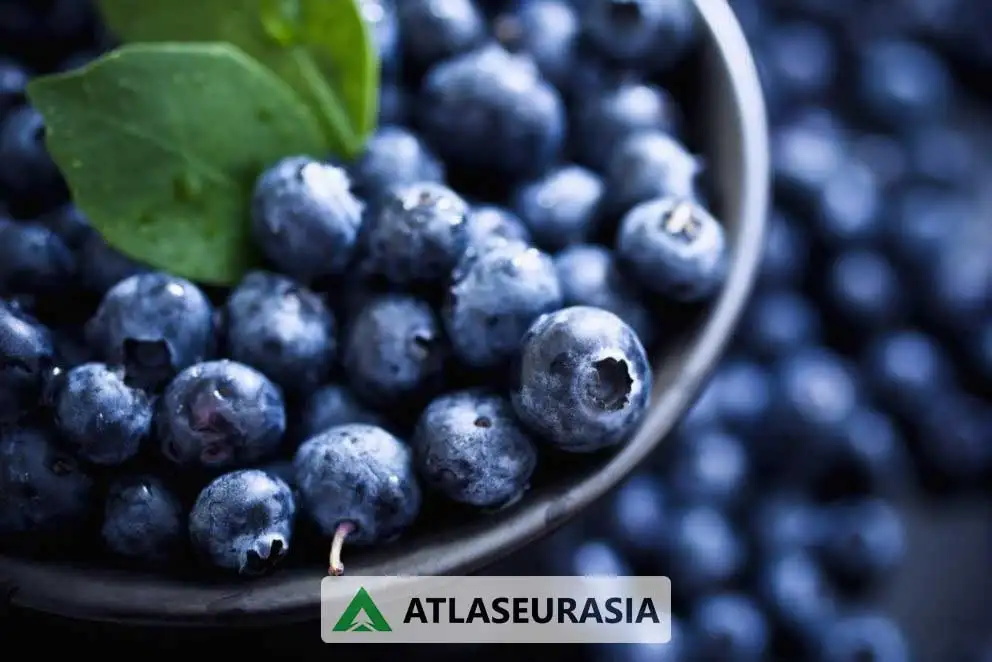 اسانس خوراکی بلوبری