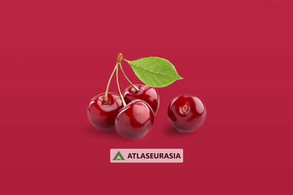 اسانس خوراکی - اسانس آلبالو