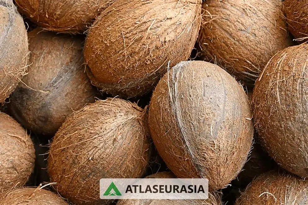 اسانس نارگیل 