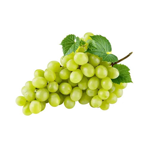 اسانس انگور