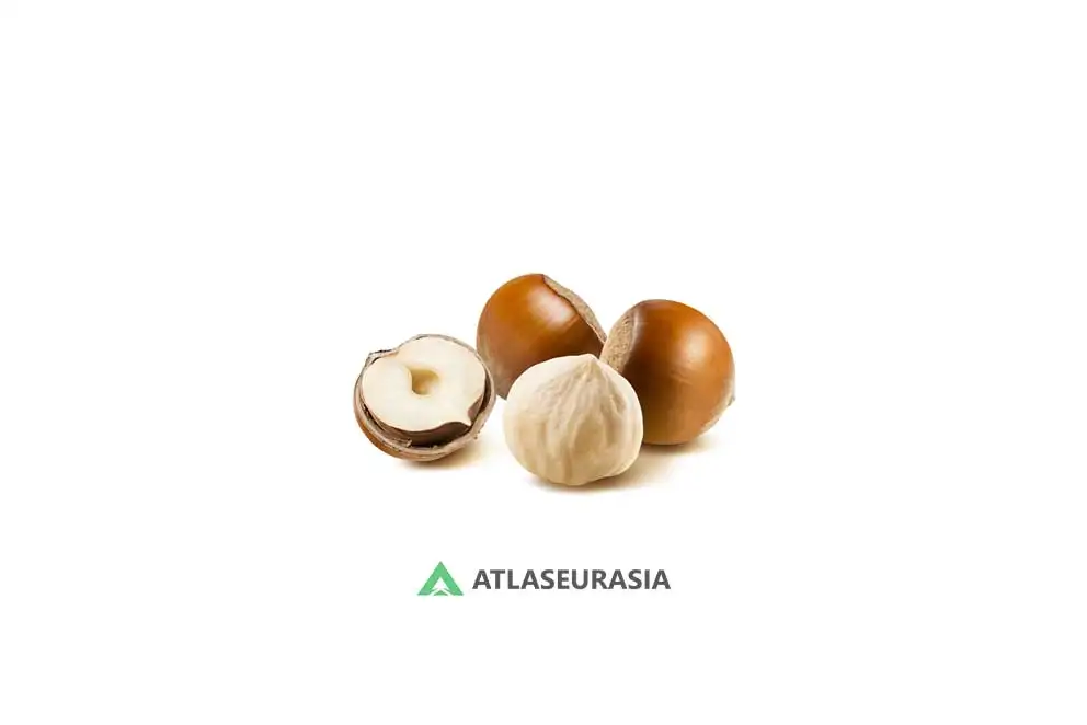 اسانس خوراکی - اسانس فندق