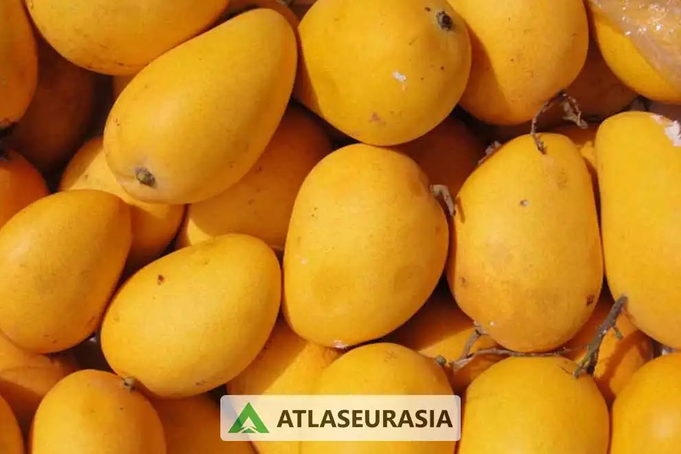 اسانس خوراکی انبه