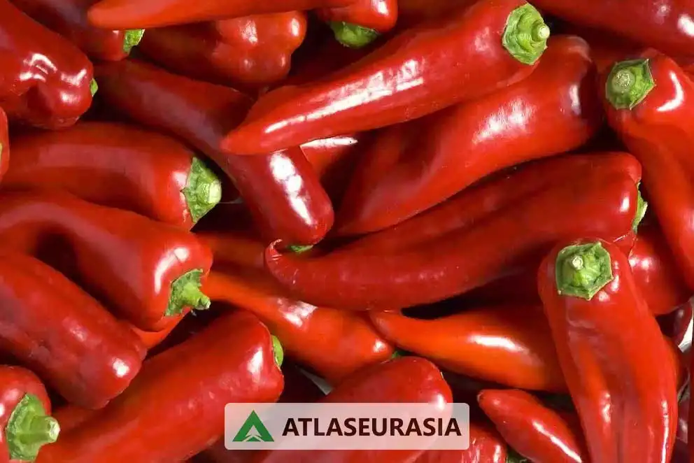 رنگ پاپریکا