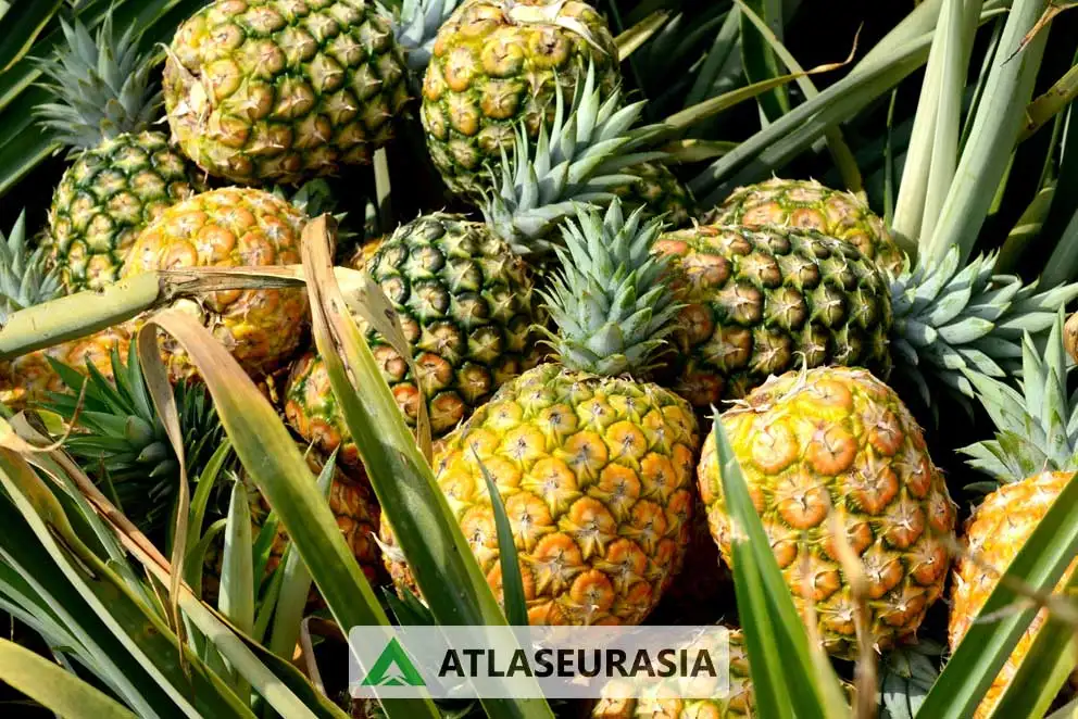 اسانس خوراکی آناناس