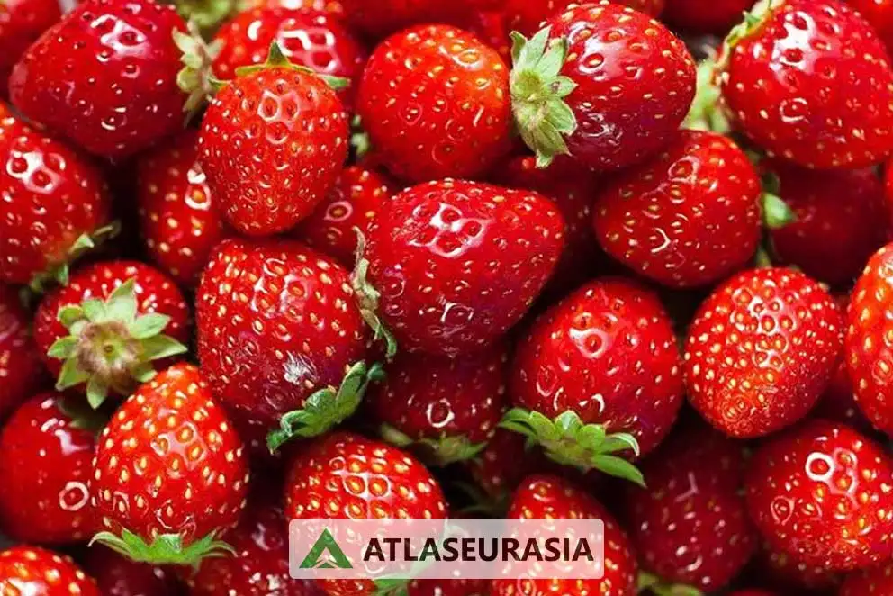 اسانس خوراکی توت فرنگی