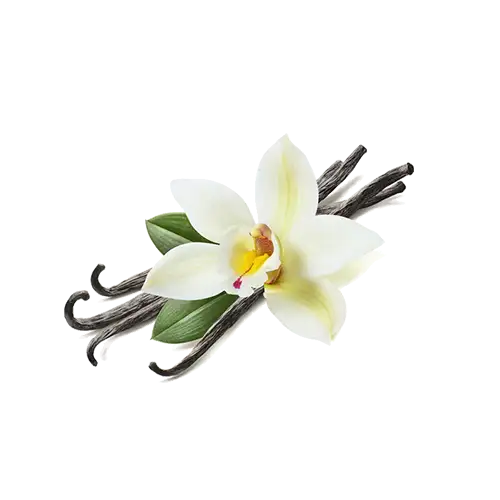 اسانس وانیل