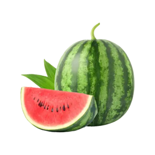 اسانس هندوانه