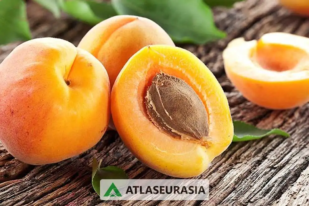 اسانس خوراکی زردآلو