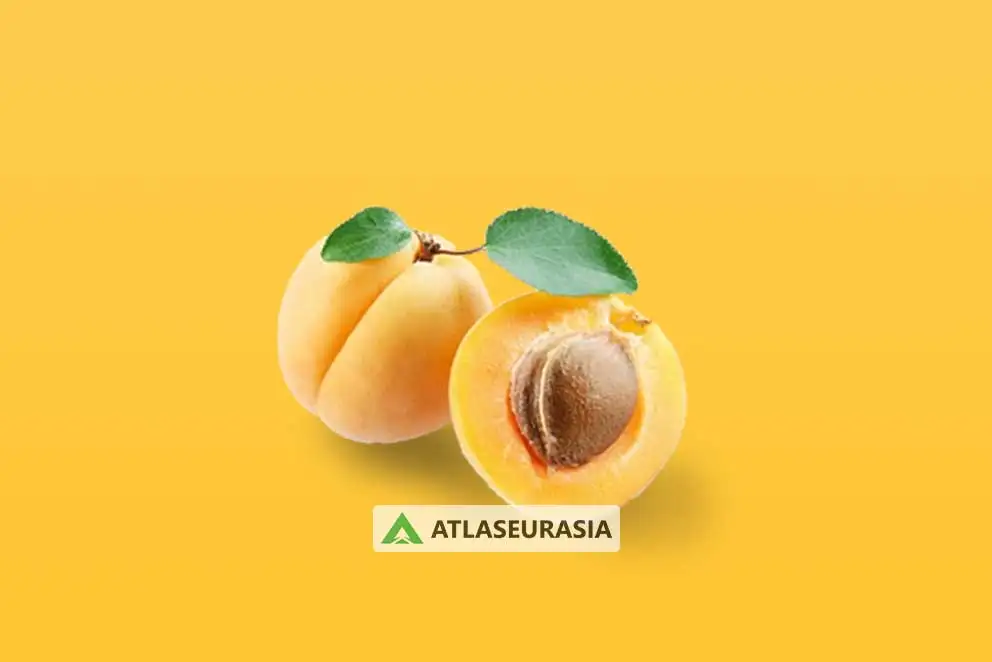 اسانس خوراکی - اسانس زردآلو 