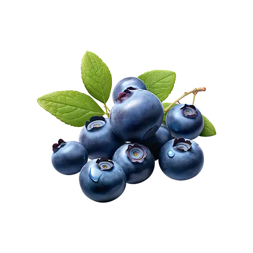 اسانس بلوبری