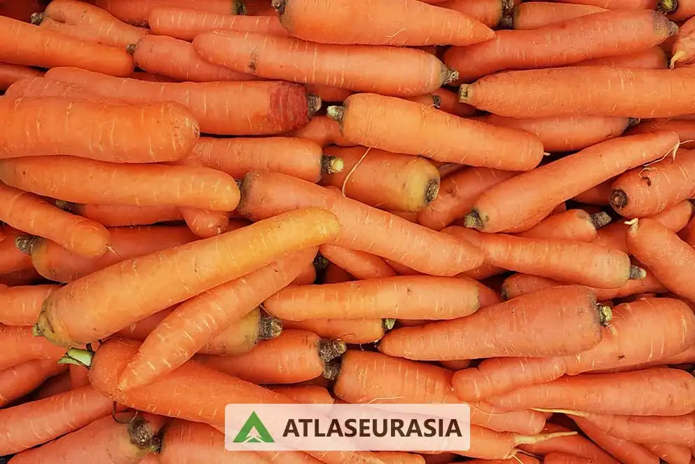 رنگ بتاکاروتن