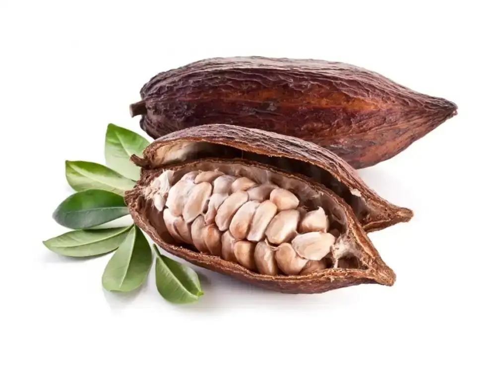 اسانس آرایشی - اطلس پل اوراسیا