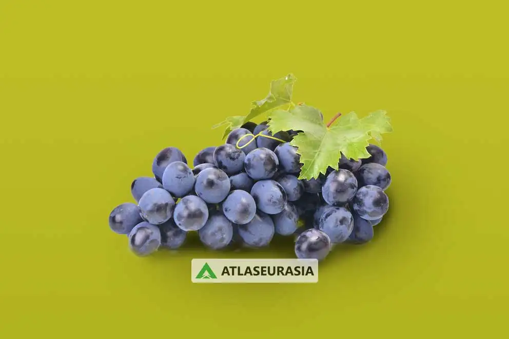 اسانس خوراکی - اسانس انگور