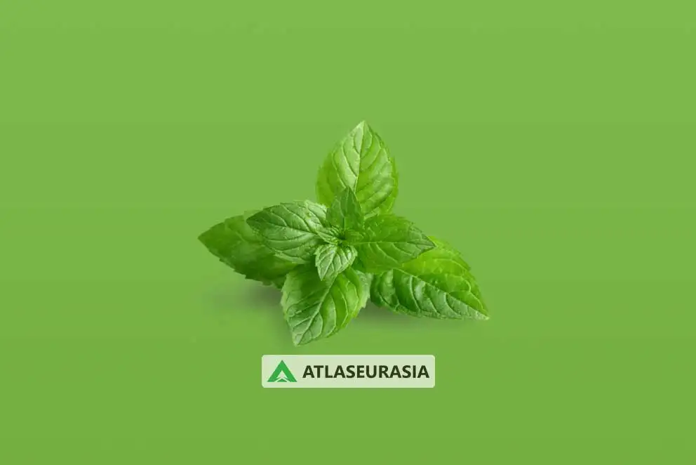 اسانس خوراکی - اسانس نعنا