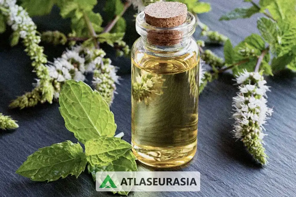 اسانس خوراکی نعنا