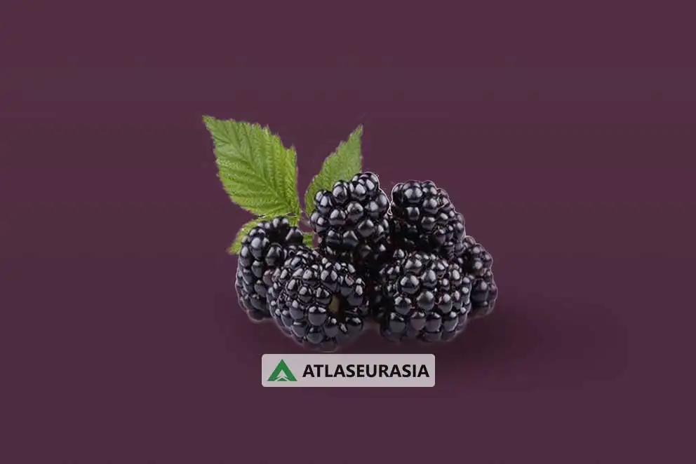 اسانس خوراکی - اسانس تمشک