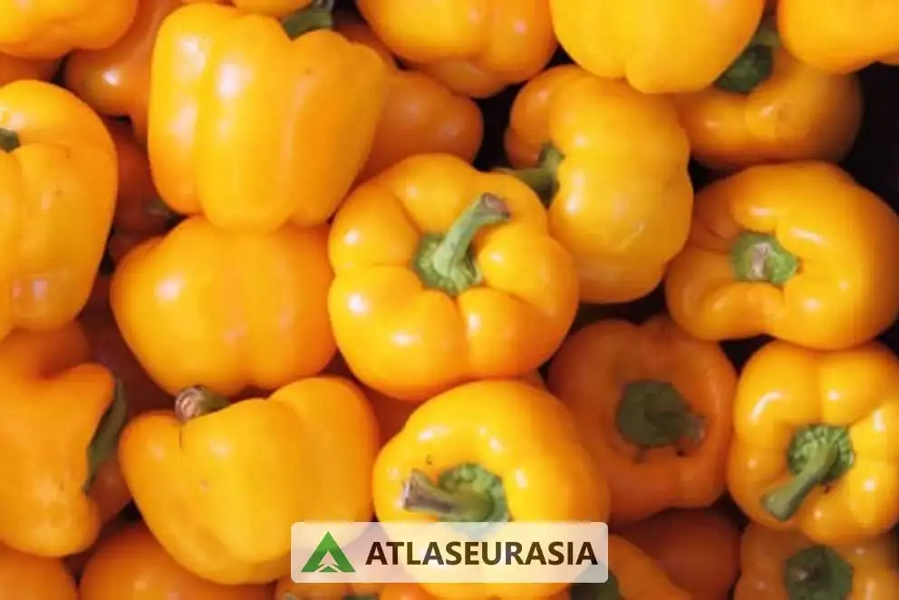 رنگ طبیعی بتاکاروتن